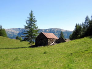 Alpe La Motta (1434 m) – Val Bognanco