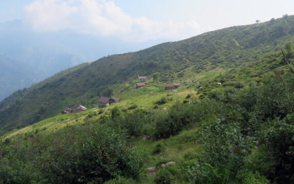 Alpe Campo