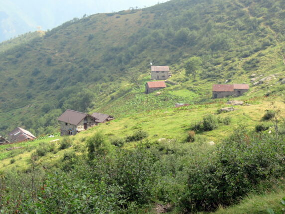 Alpe Campo