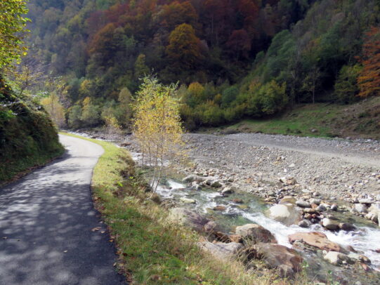 IMG_8053_resize